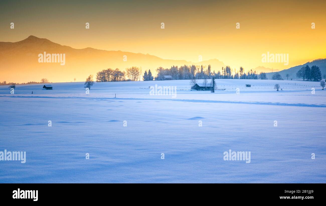 Paesaggio invernale con le Alpi al tramonto, Germania, Baviera Foto Stock