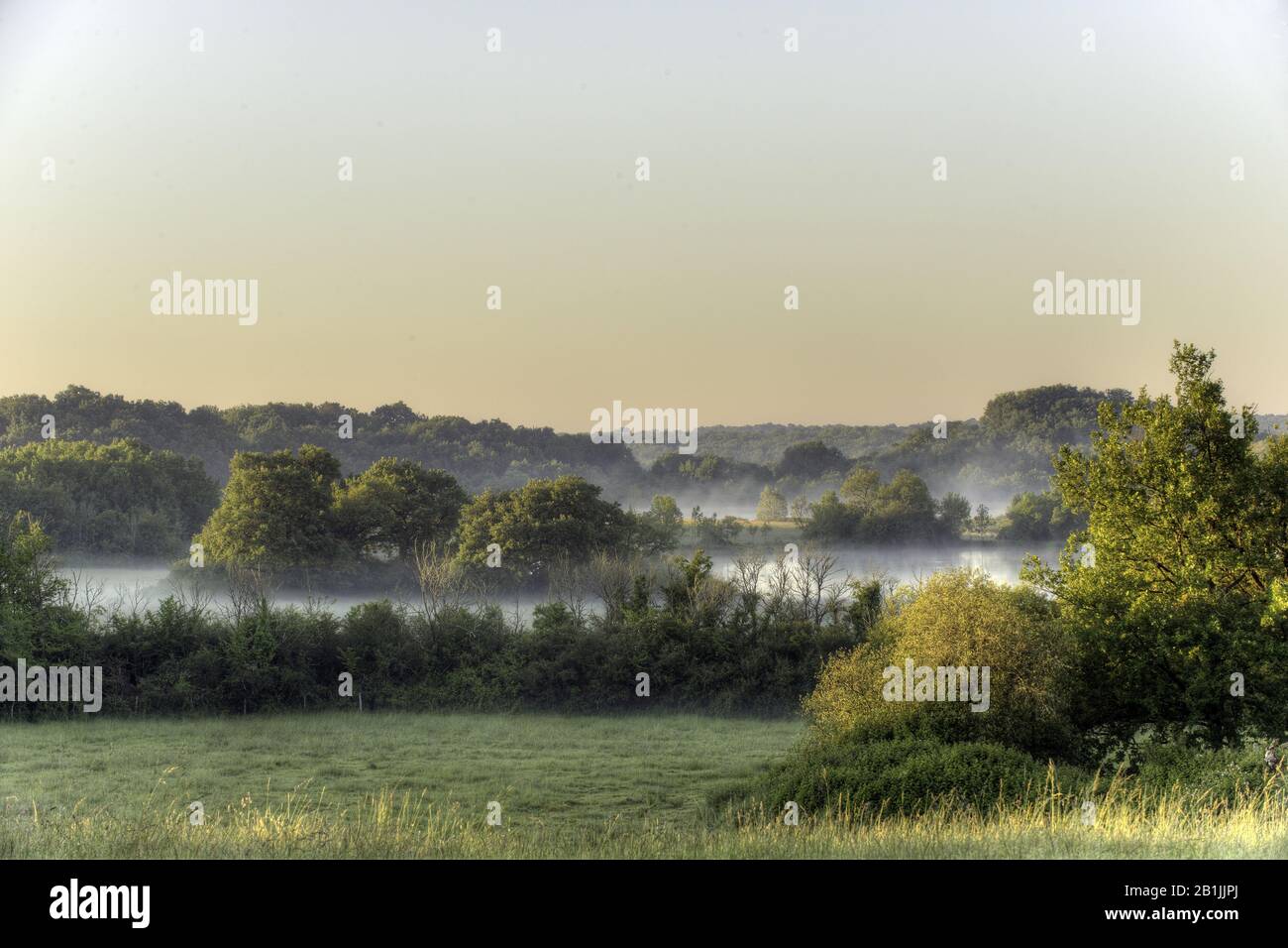 Stagno Etang Rouge, Brenne, Francia Foto Stock