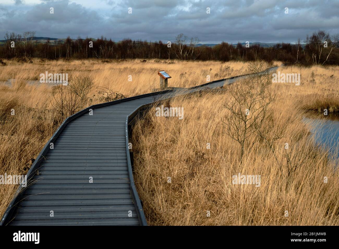 Passerella a Cars Caron che permette un facile accesso ad un terreno bagnato altrimenti molto difficile Foto Stock