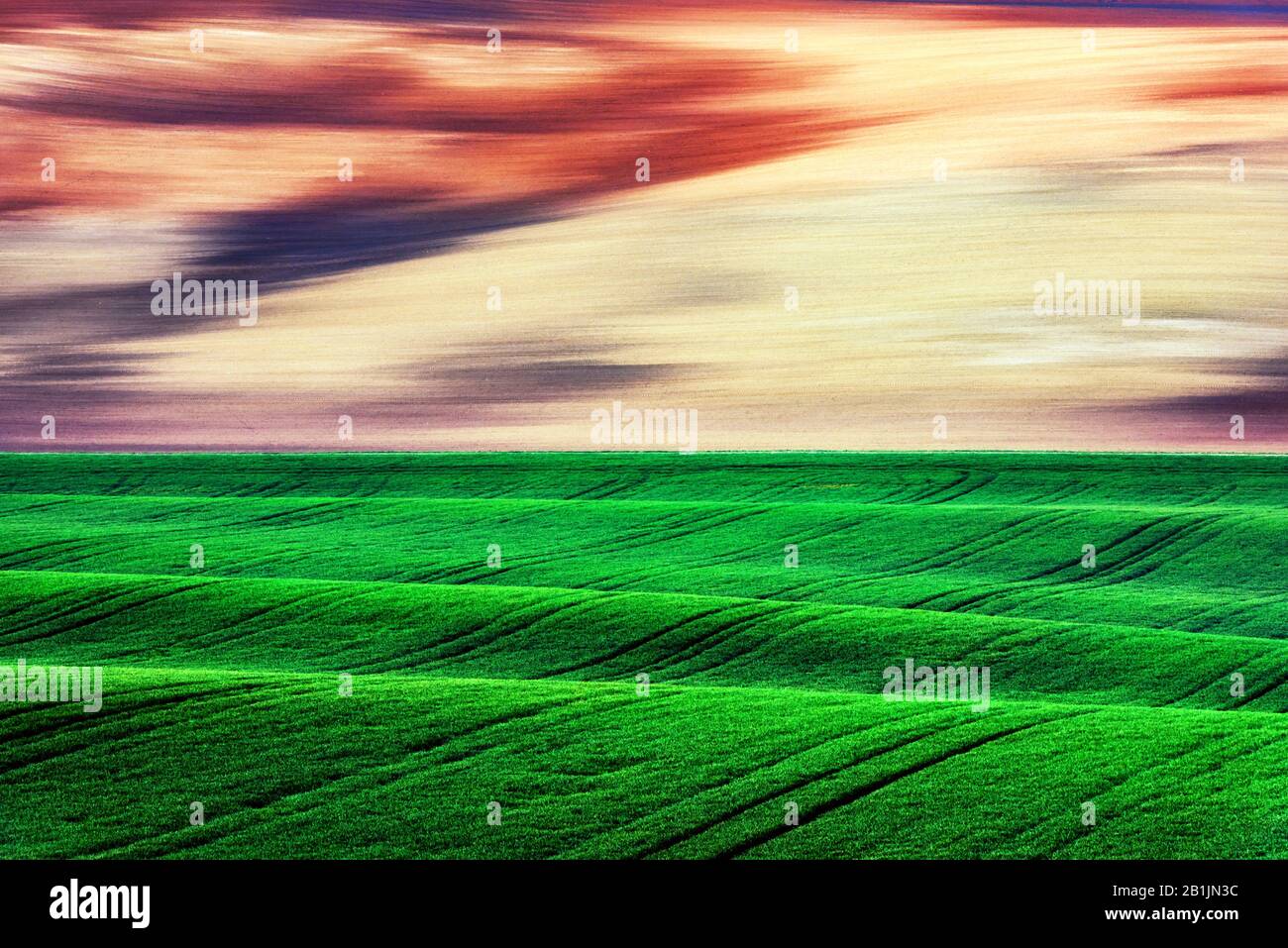 Paesaggio rurale astratto con campi agricoli sulle colline di primavera. Regione Della Moravia Meridionale, Repubblica Ceca Foto Stock