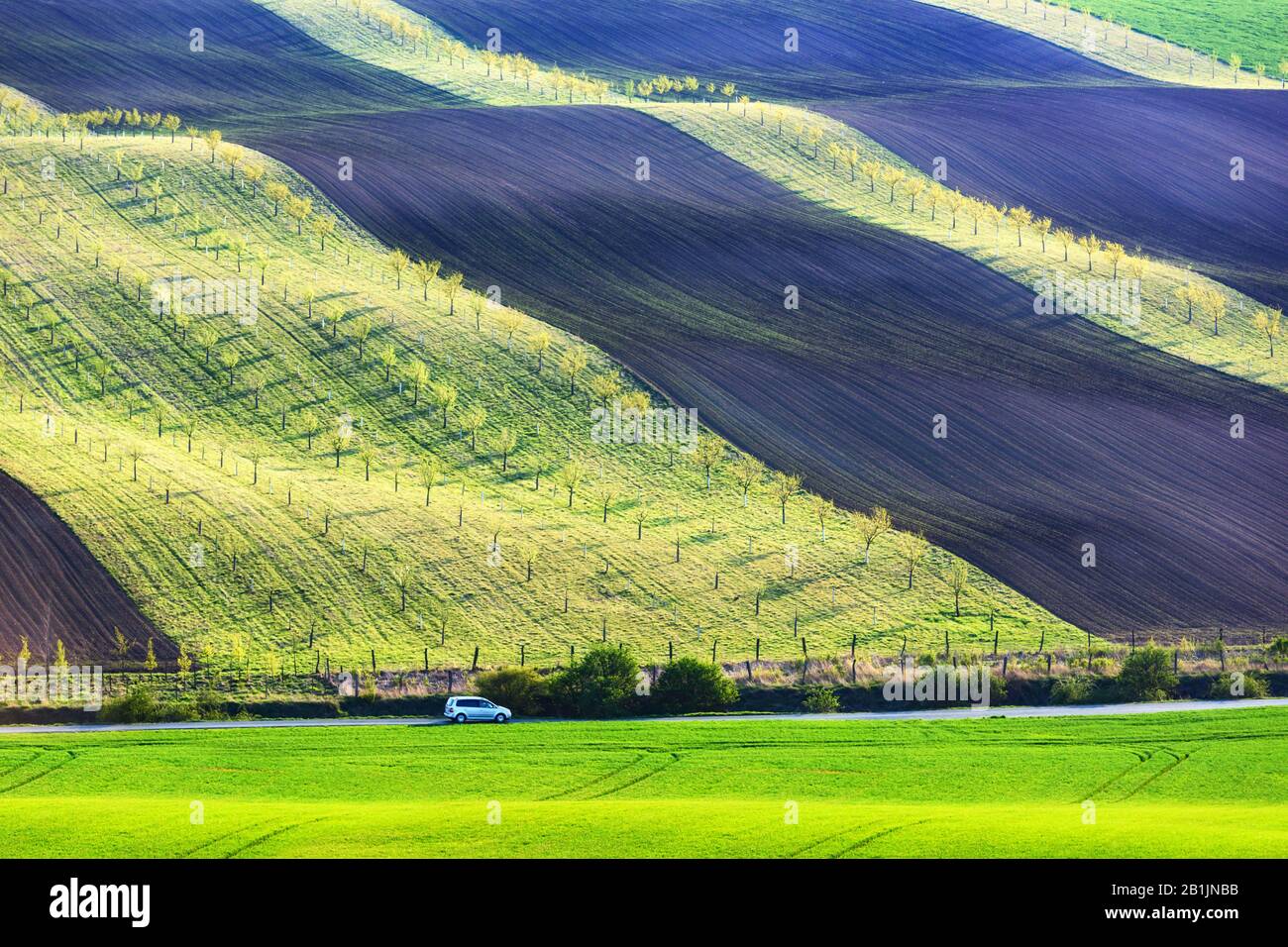 Paesaggio rurale con auto e campi agricoli sulle colline di primavera in Moravia del sud regione, Repubblica Ceca Foto Stock
