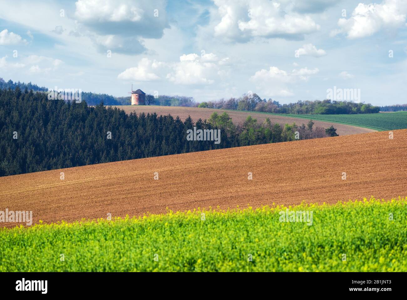 Pittoresco paesaggio rurale con vecchio mulino a vento e verde e marrone sole colline primavera. Regione Della Moravia Meridionale, Repubblica Ceca Foto Stock