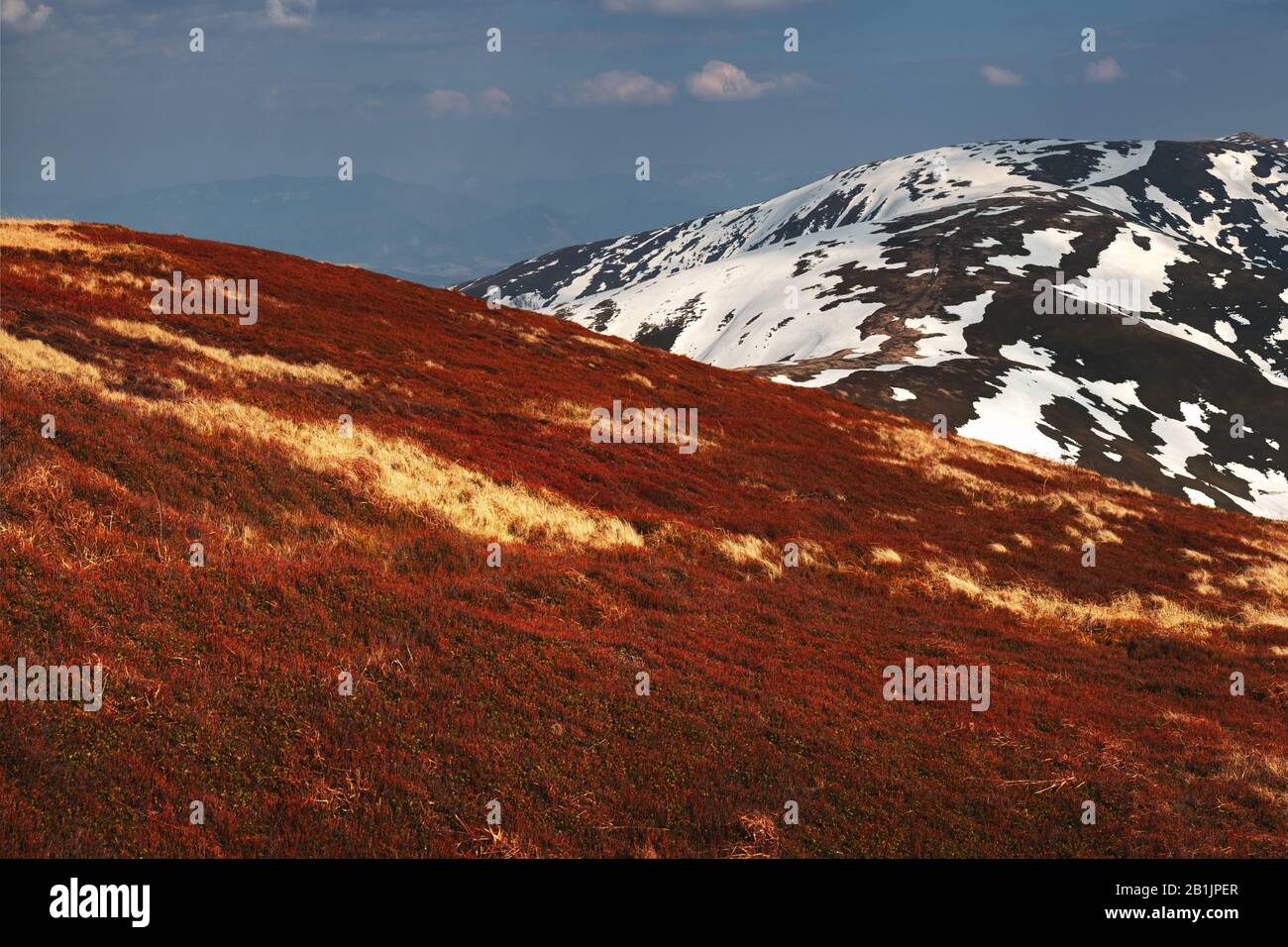 Vista sulle colline primaverili con erba arancione e montagne innevate sullo sfondo. Fotografia di paesaggio Foto Stock