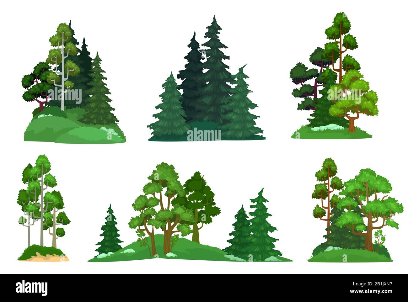 Alberi di foresta. Verde abete, foreste pino composizione e alberi isolati cartone animato vettore illustrazione set Illustrazione Vettoriale