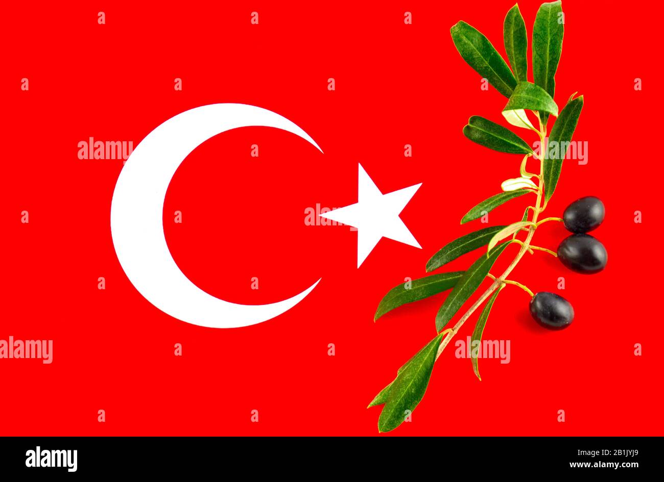 Ramo di olive con olive sulla bandiera turca Foto Stock