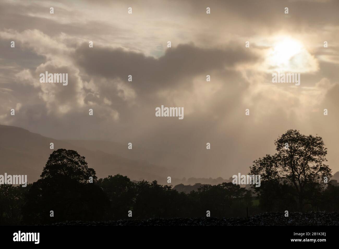 I raggi solari illuminano gli alberi, i campi e le colline di Wensleydale nelle Yorkshire Dales Foto Stock