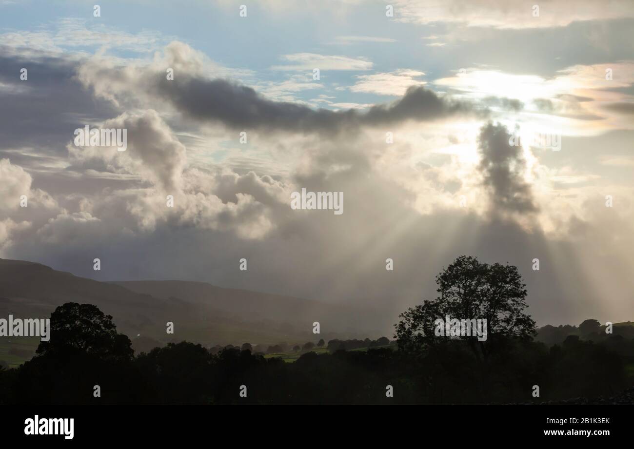 I raggi solari illuminano gli alberi, i campi e le colline di Wensleydale nelle Yorkshire Dales Foto Stock
