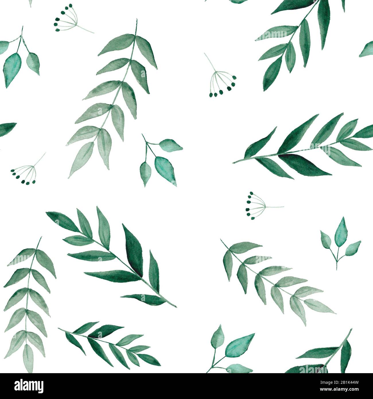 Motivo senza cuciture verde acquerello foglie su sfondo bianco Foto Stock