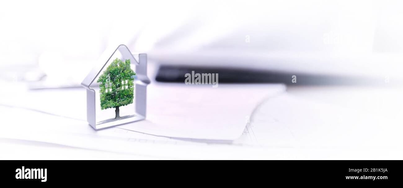 progetto immobiliare, albero verde, casa, ecologia Foto Stock