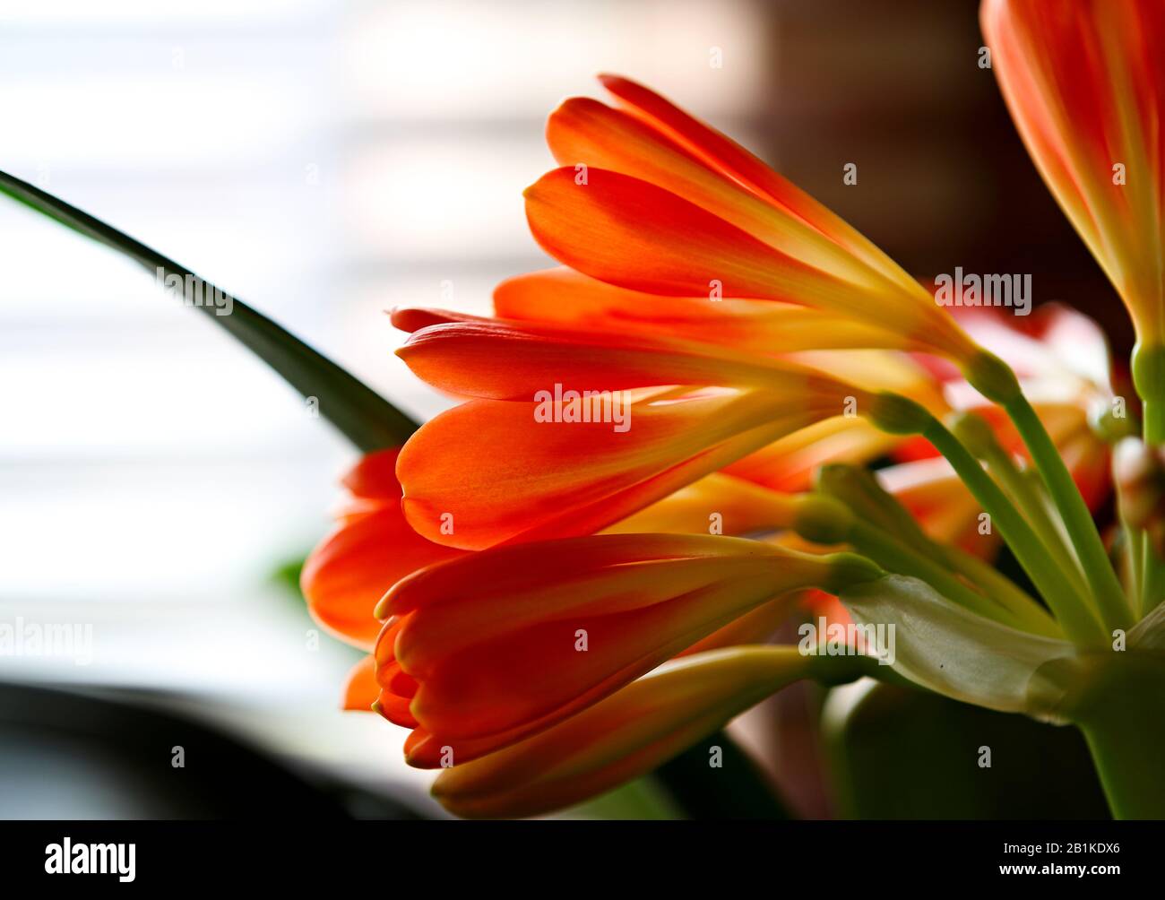 Splendida vista sulla scogliera che si staglia accanto alla finestra Foto Stock
