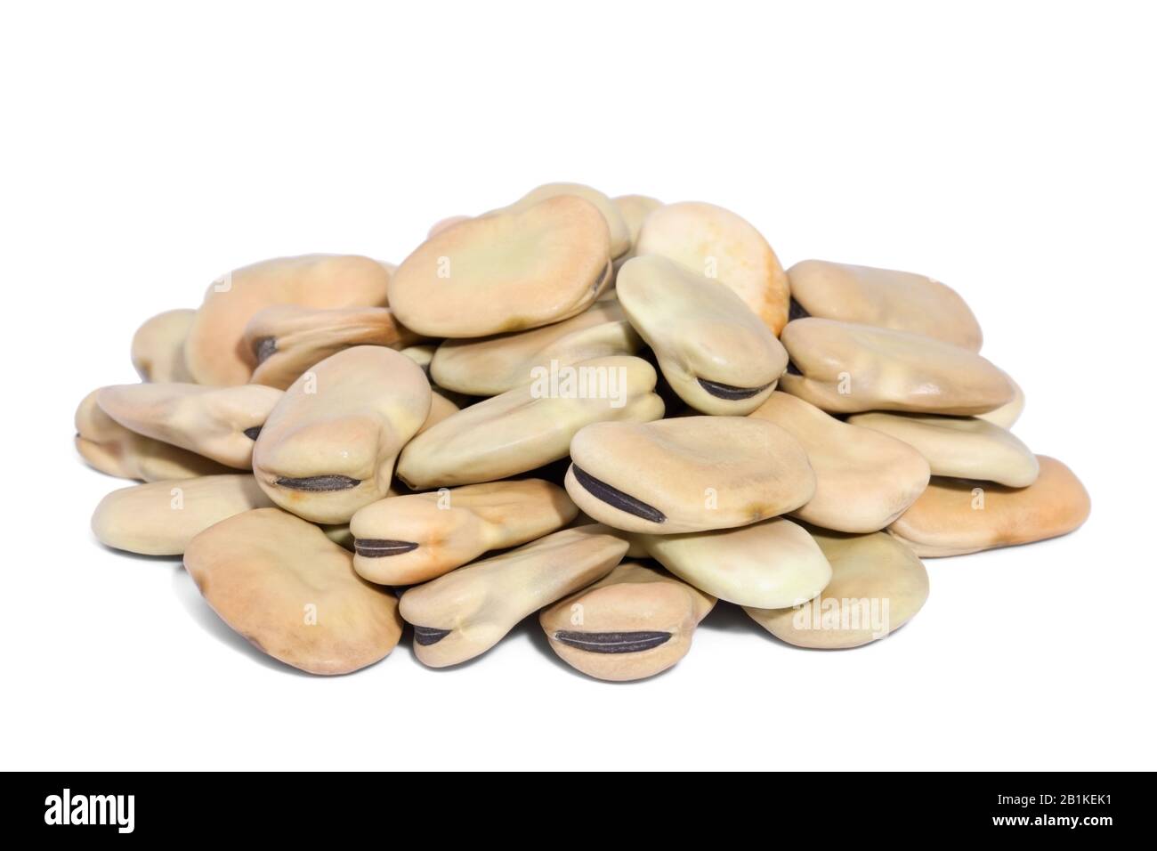 Pile Di Fagioli Grandi isolati su sfondo bianco. Chiamato anche Fava o Windsor Bean. Grandissimo e sostanzioso fagioli con consistenza cremosa; Foto Stock