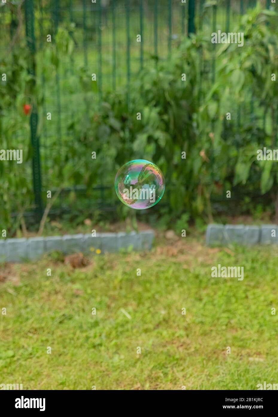 bolla di sapone circondata dal verde Foto Stock