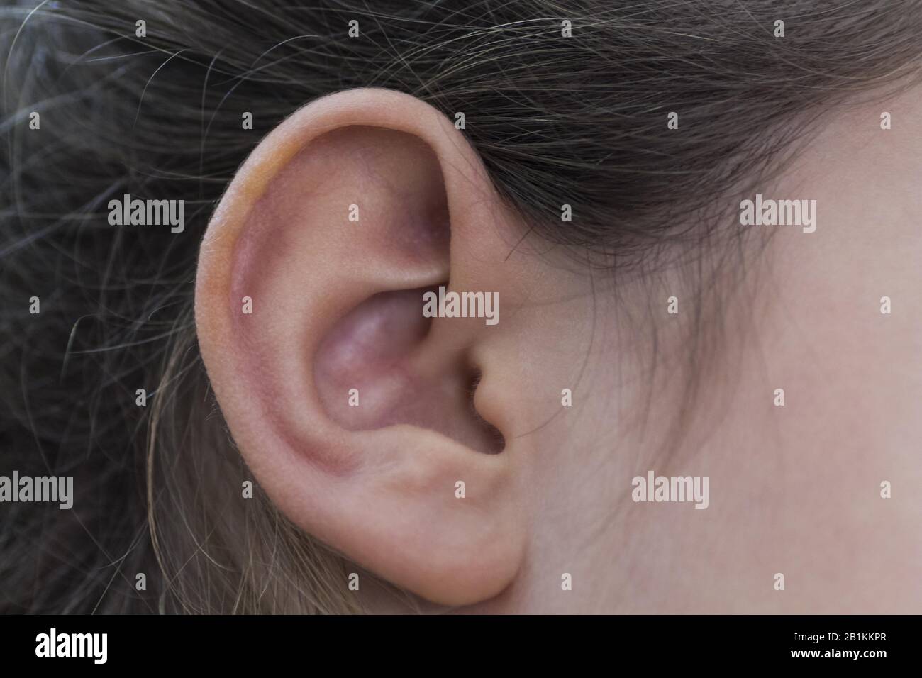 primo piano di un orecchio destro Foto Stock