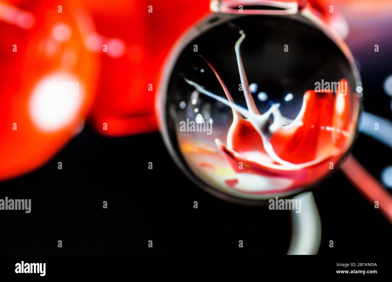 sfondo astratto di uno schizzo di colore bianco e rosso nella sfera Foto Stock