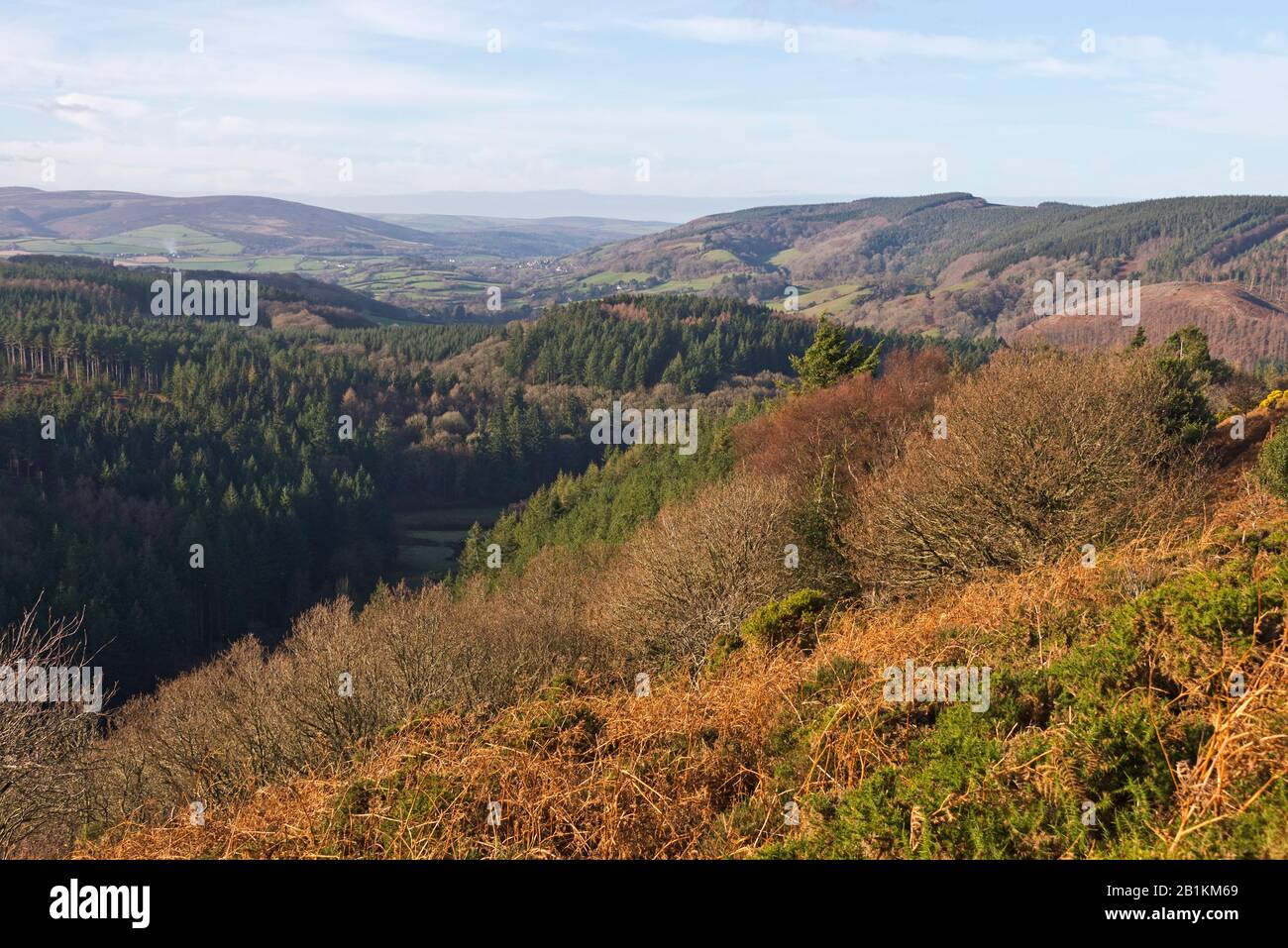 Vista dal Macmillan Way West al cancello di Withycombe Hill, vicino a Dunster in Somerset, che si affaccia sulle boscose colline di Exmoor Foto Stock