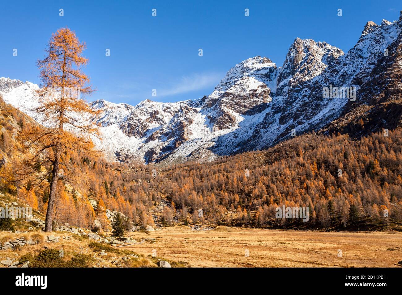 Valle Masino - Valtellina (IT) - Predarossa Foto Stock