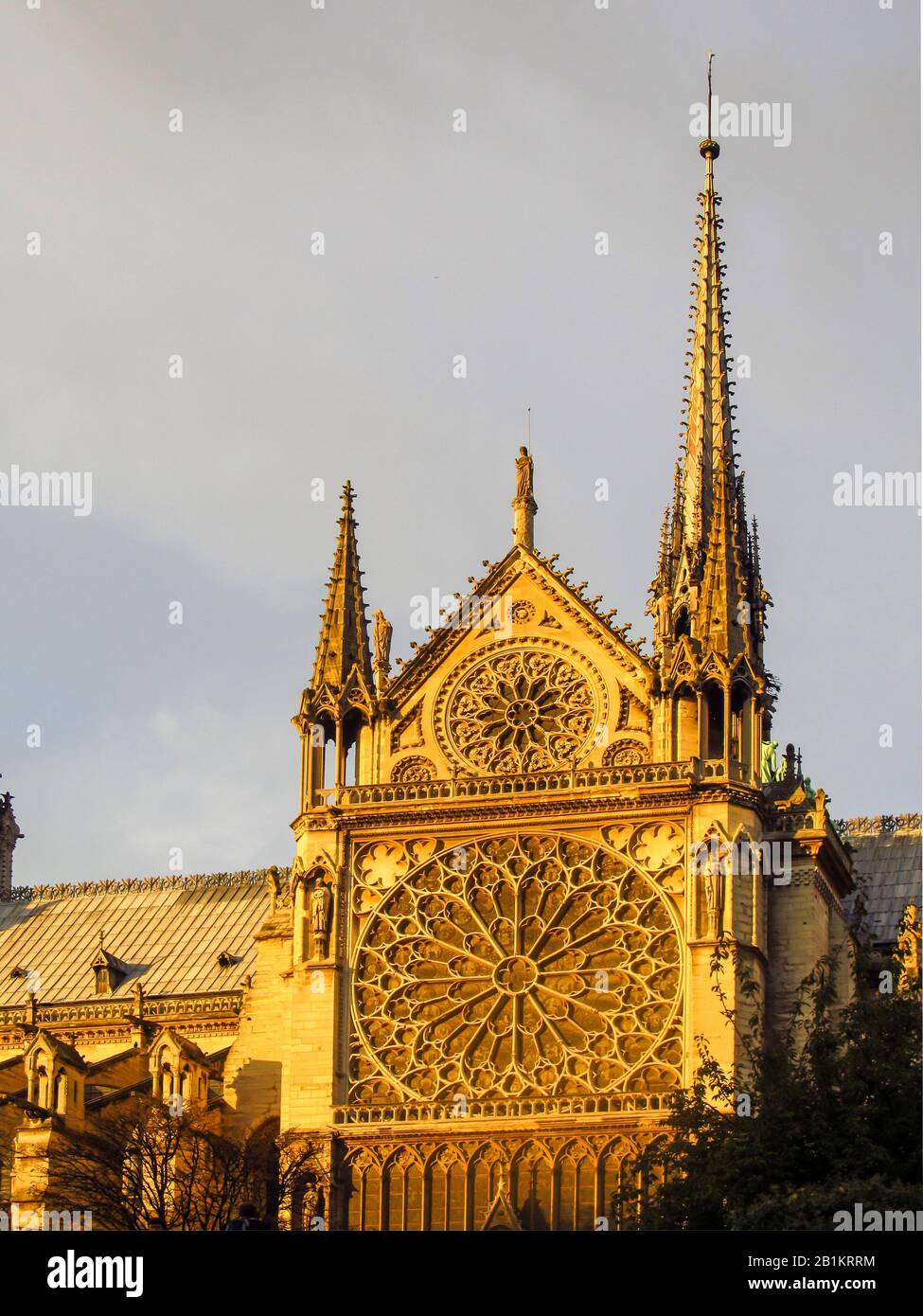 La finestra rosa meridionale di Notre Dame, Parigi, Francia, nel tardo pomeriggio visto dall'esterno della Cattedrale Foto Stock