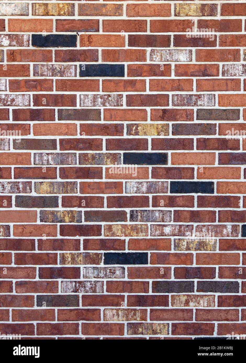 Muro di mattoni, di James D Coppinger/Dembinsky Photo Assoc Foto Stock