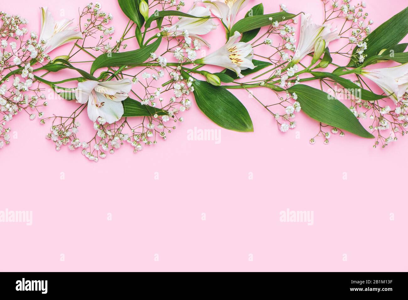 Bellissimi ramoscelli primaverili con fiori bianchi su sfondo rosa pastello. Foto Stock