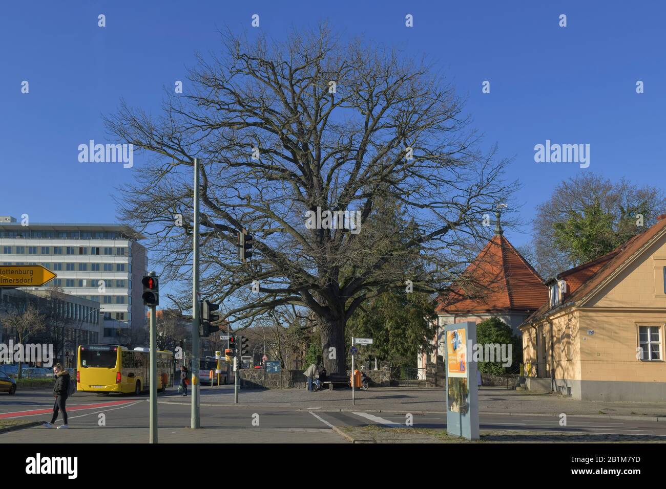 Friedenseiche, Clayallee, Zehlendorf, Berlino Foto Stock