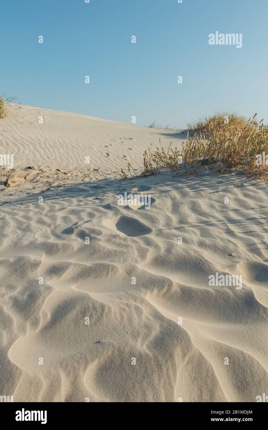 Onde nelle dune di sabbia nel pomeriggio, Jekyll Island, Georgia. Foto Stock
