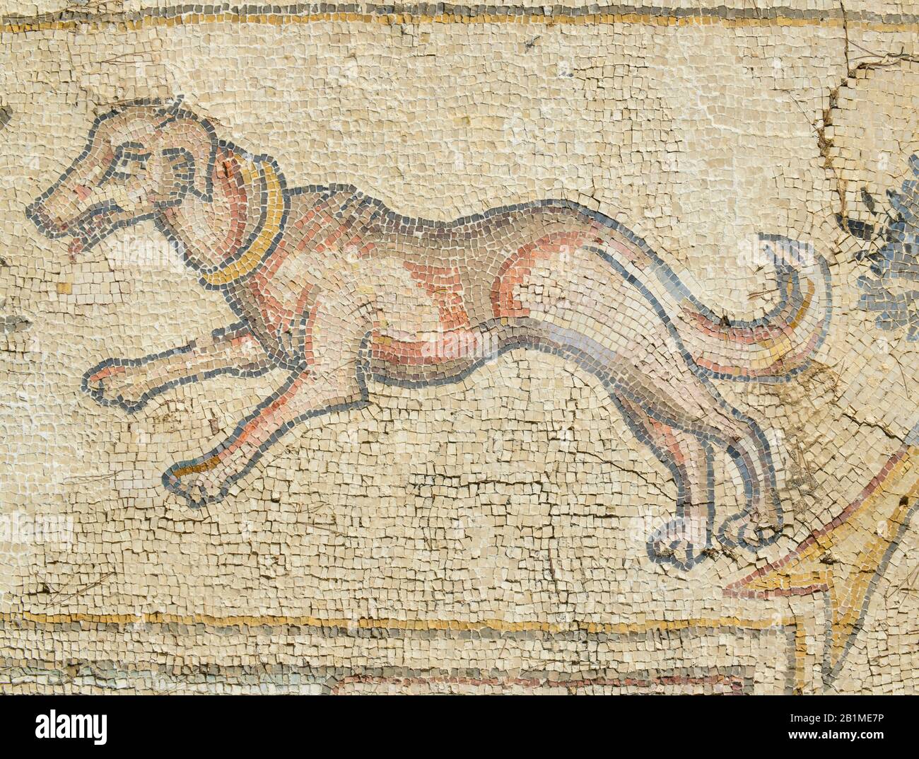 Haushund, Haus der Vogelmosaike, Ausgrabungsstätte Cesarea, Israele Foto Stock