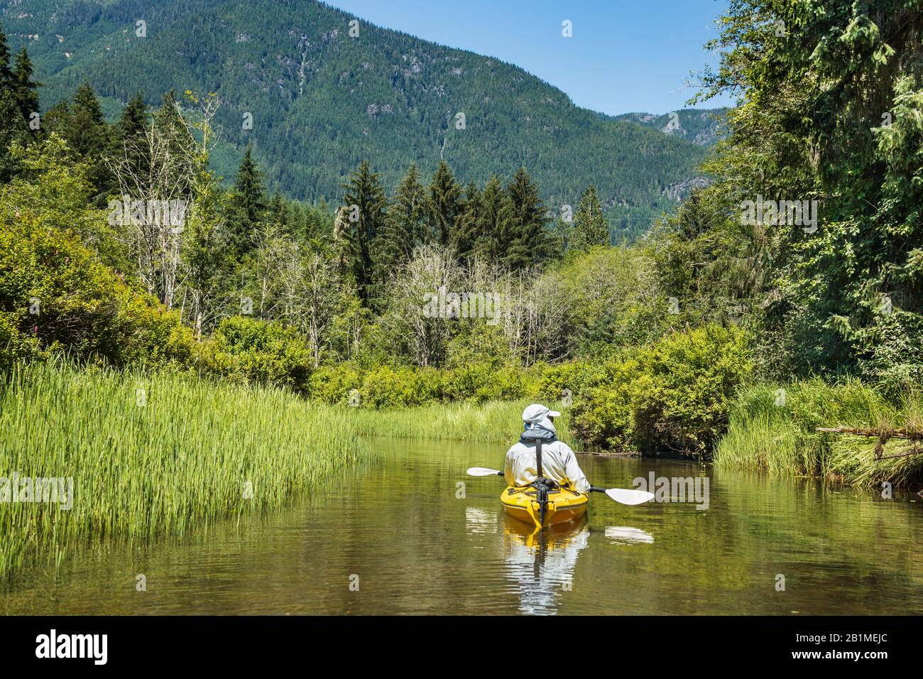 In una tranquilla retropena di un fiume nella Columbia Britannica, un uomo solista galleggia in un kayak giallo, ammirando la lussureggiante vegetazione e la foresta intorno a lui. Foto Stock