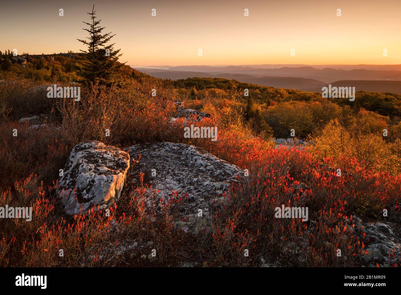 Alba a Dolly Sods Wilderness in autunno Foto Stock