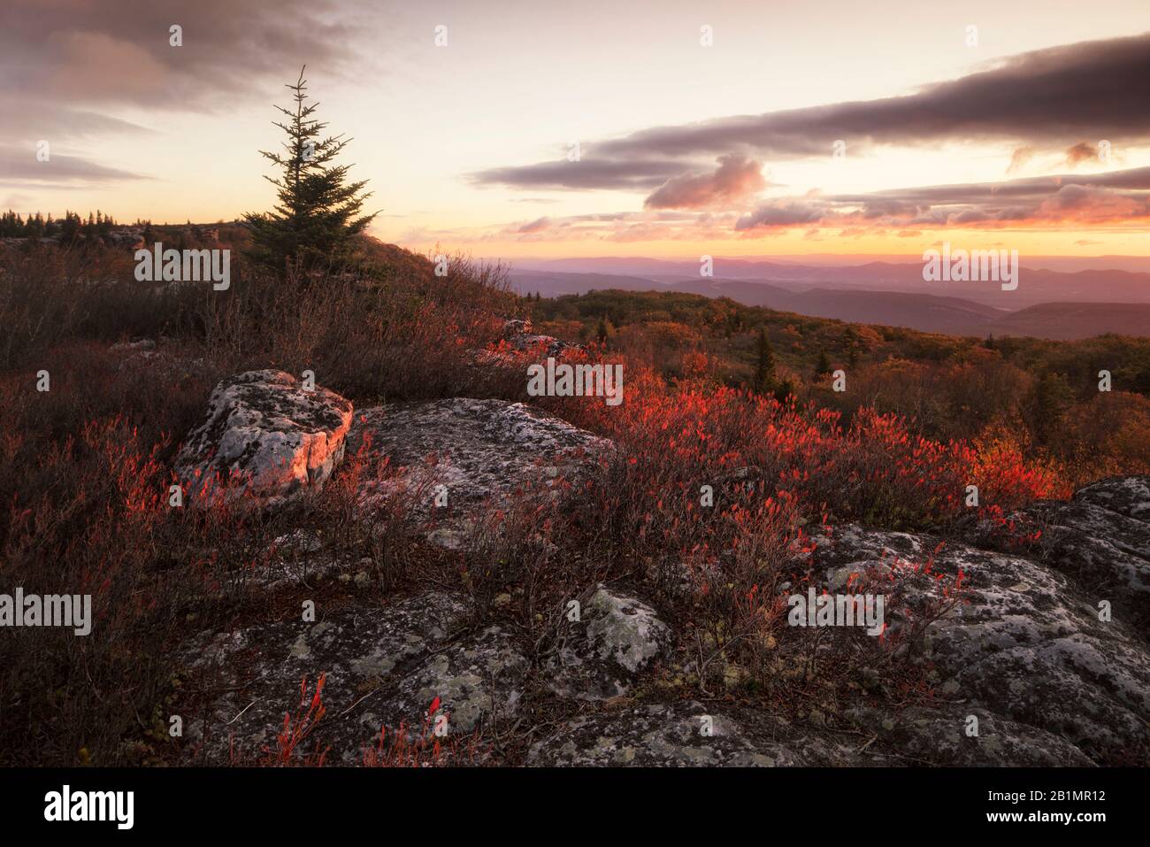Alba a Dolly Sods Wilderness in autunno Foto Stock