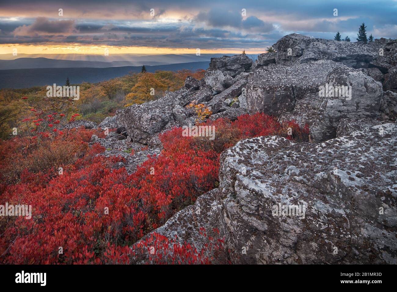 Alba a Dolly Sods Wilderness in autunno Foto Stock