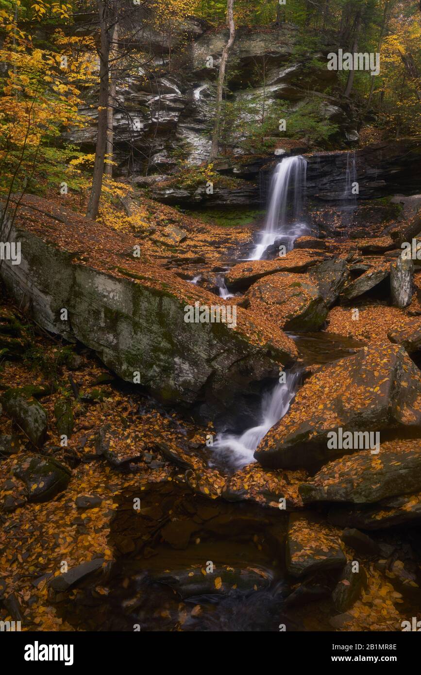 Vista autunnale della caduta di B. Reynolds nel Ricketts Glen state Park, Pennsylvania Foto Stock