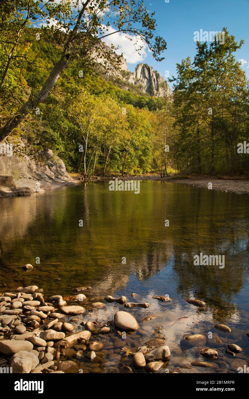 Vista autunnale del North Fork South Branch Potomac River, Seneca Rocks, Pendleton County, West Virginia Foto Stock