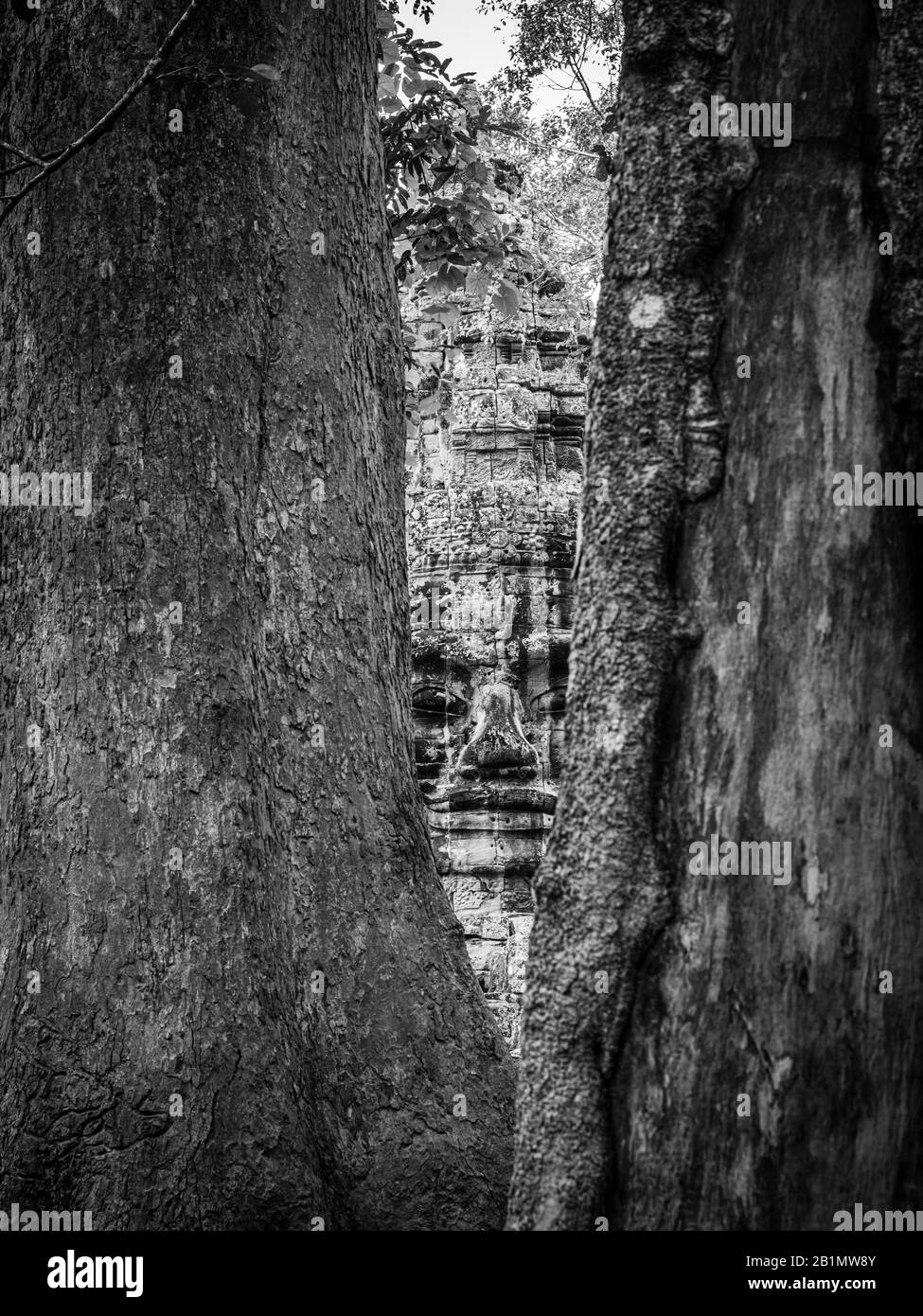 Immagine della porta della Vittoria, ad est di Angkor Thom; Angkor Wat Archeological Park, Siem Reap, Cambogia. Foto Stock