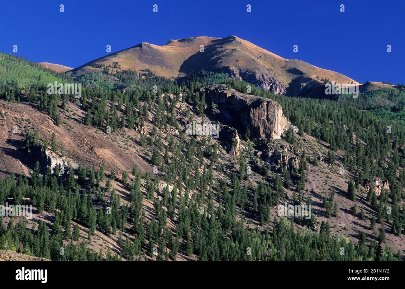Picco di montagna, Alpino Nazionale Loop Back Country Byway, Colorado Foto Stock