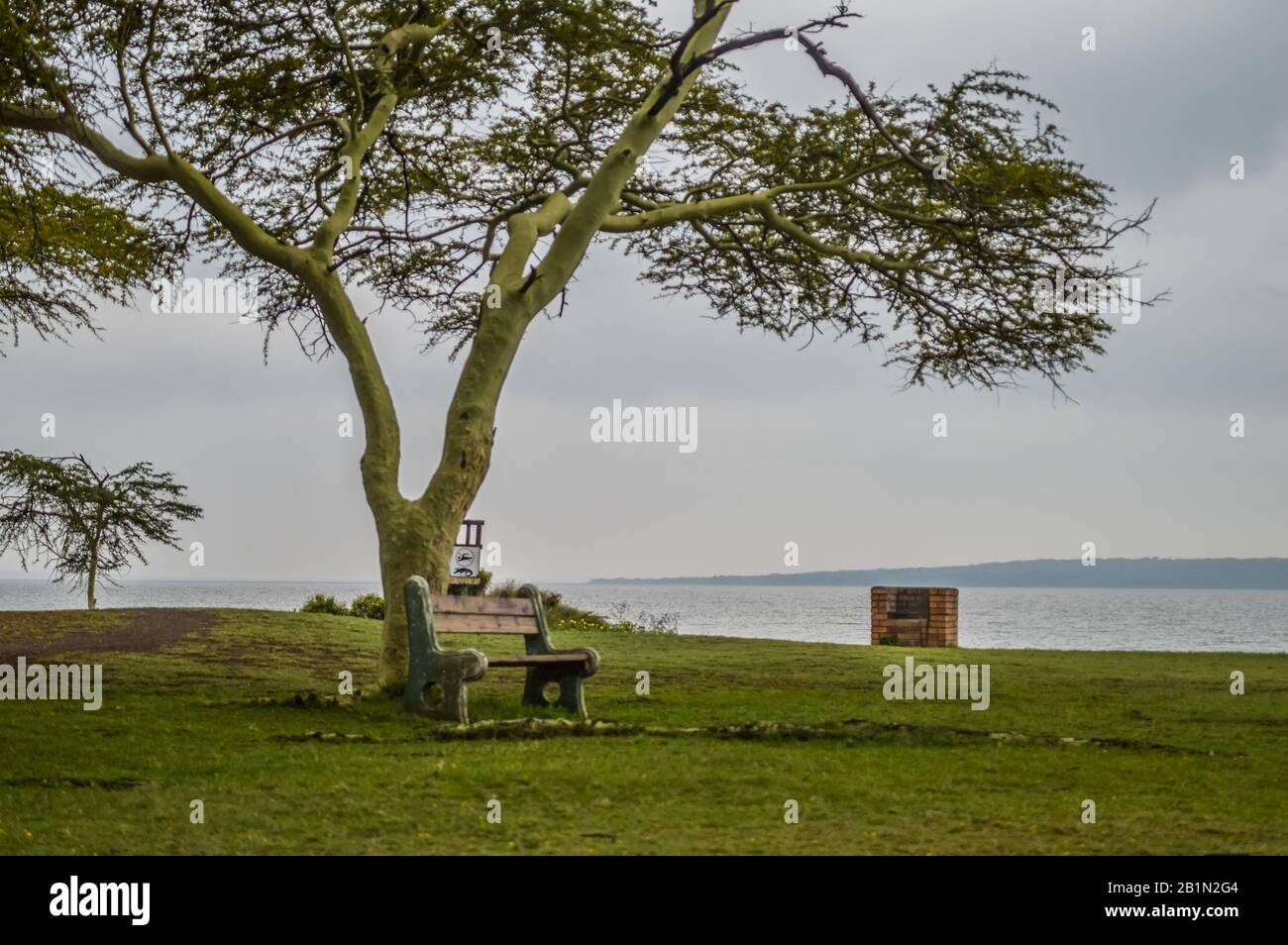 Verde e isolato False Bay park in zone umide Isimangaliso KZNSouth in Africa Foto Stock
