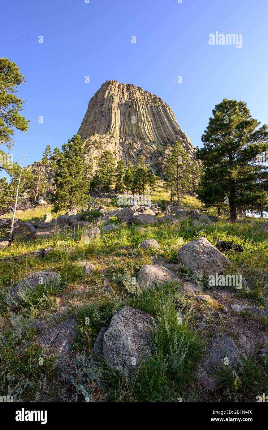 Guardando fino alla Devils Tower da Rocks Sotto di esso Foto Stock