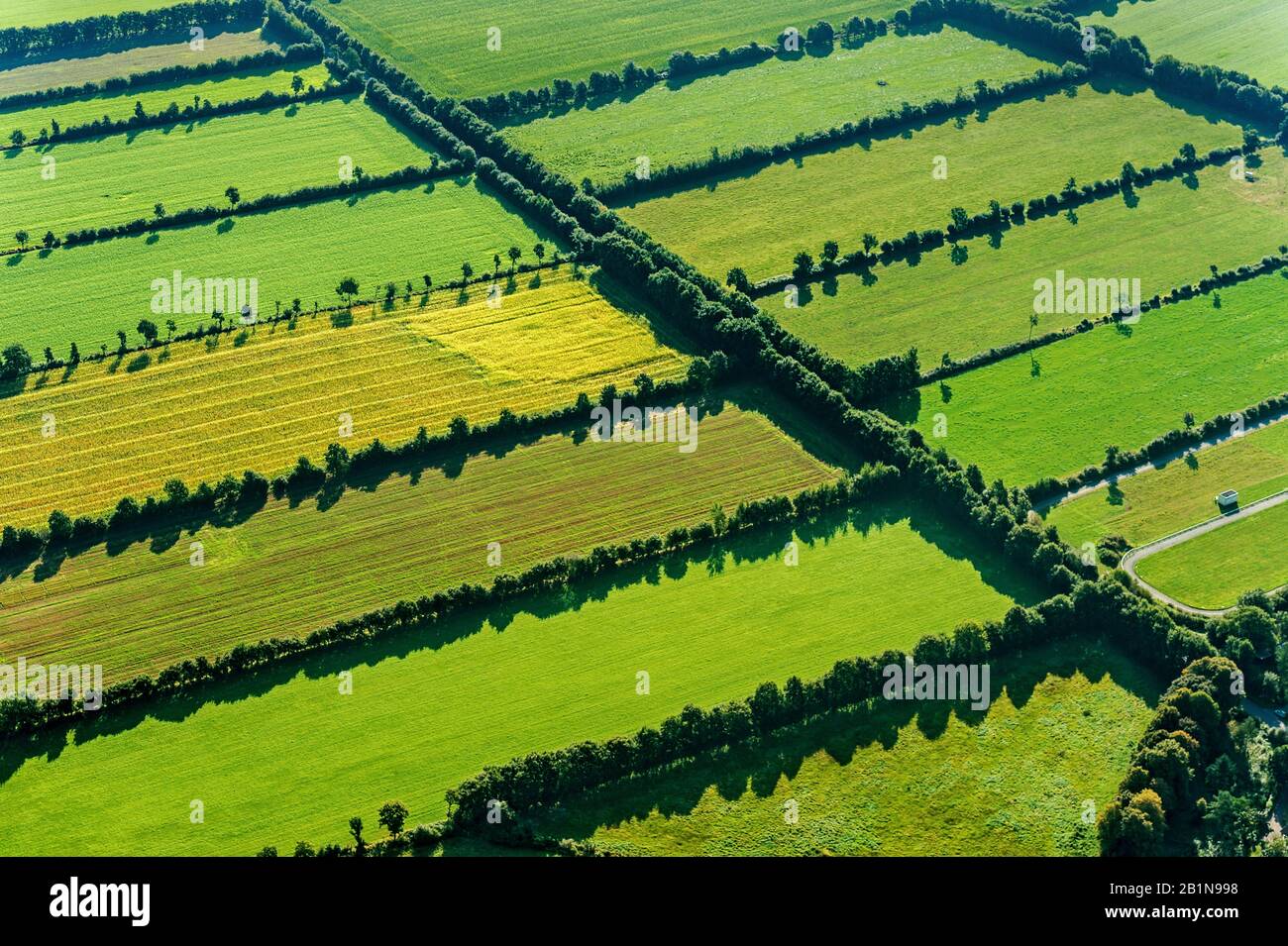 Paesaggio con argini, vista aerea, Germania, Schleswig-Holstein, Mitte auf der Geest Foto Stock