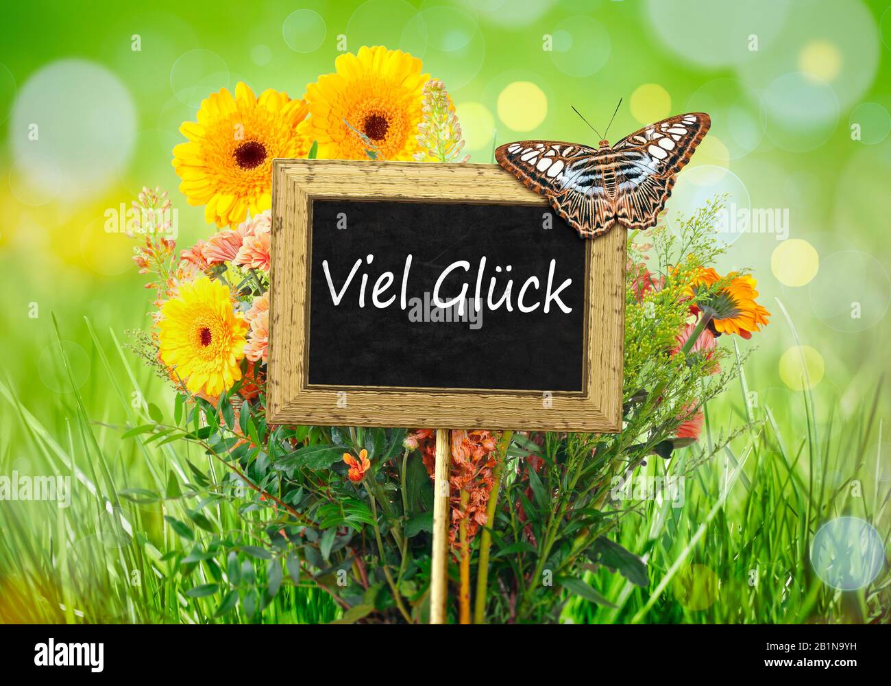 Piccola lavagna con una farfalla contro un prato fiori lettere VIEL GLUECK (Buona fortuna) Foto Stock