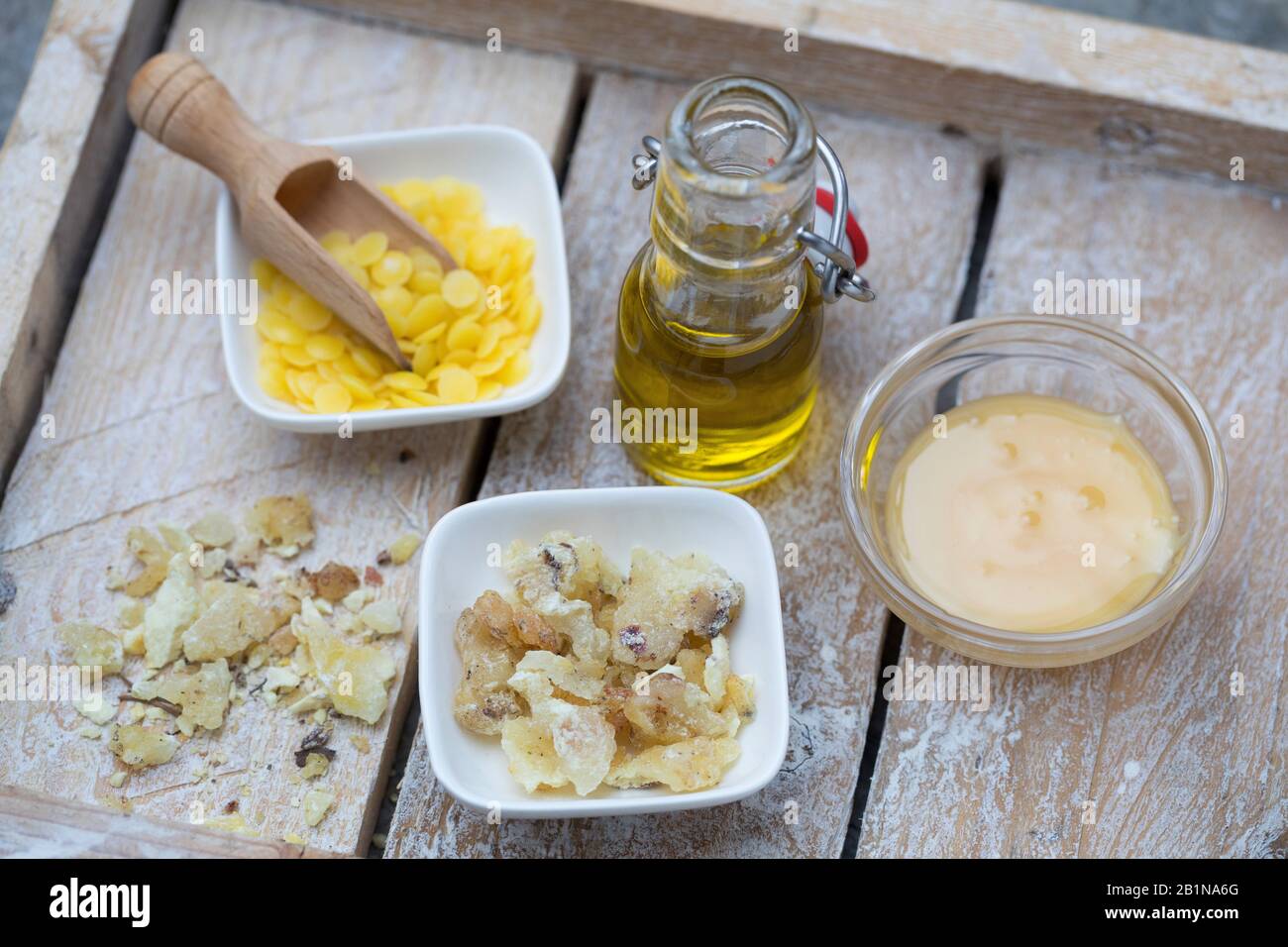 Produzione di creme a labbro, in resina di abete rosso, olio d'oliva, cera d'api e miele, Germania Foto Stock
