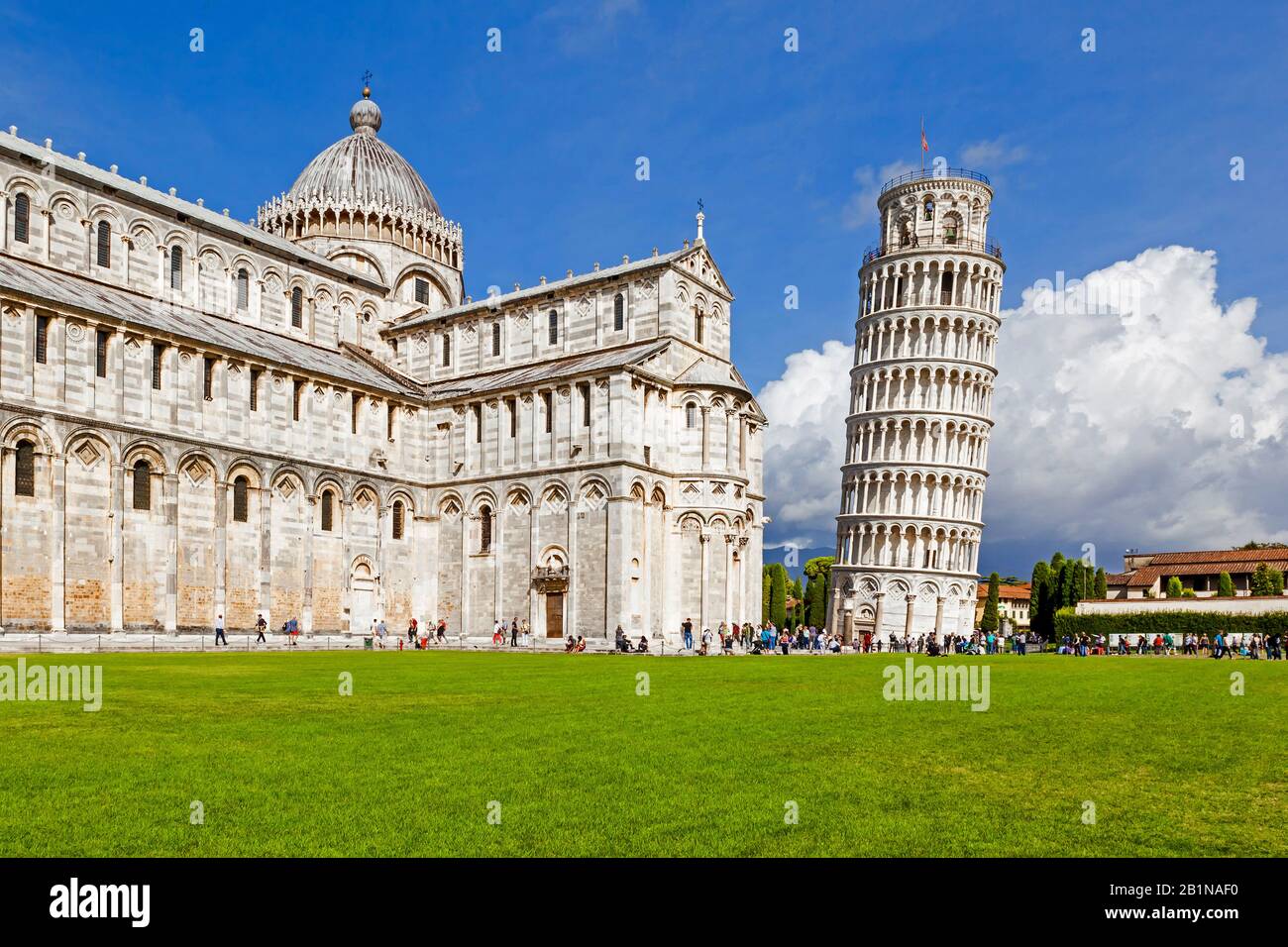 Torre Pendente Di Pisa In Piazza Miracoli, Italia, Toscana, Pisa Foto Stock