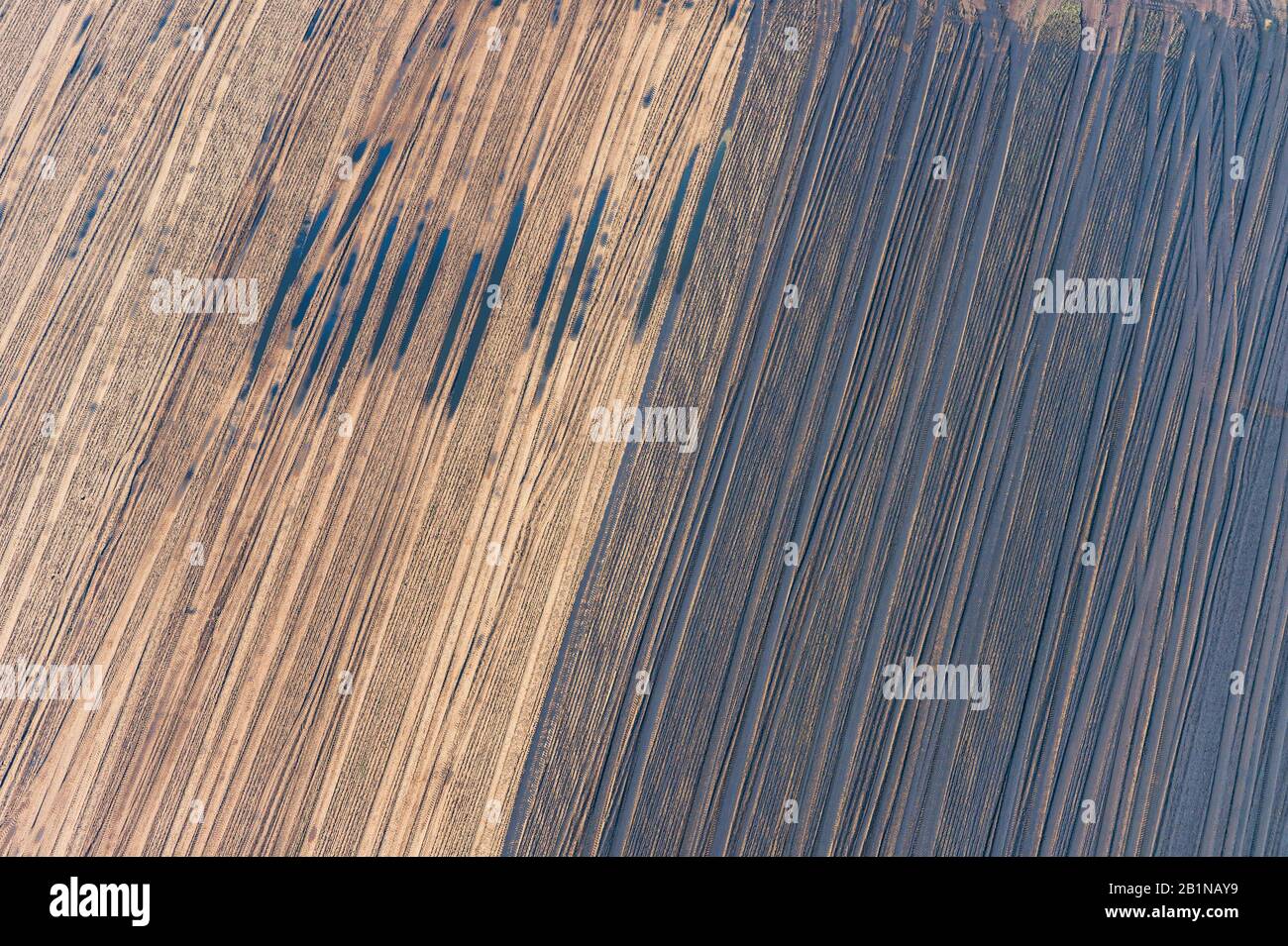 Veduta aerea dell'acro fecondato e non fecondato, Germania, Schleswig-Holstein Foto Stock