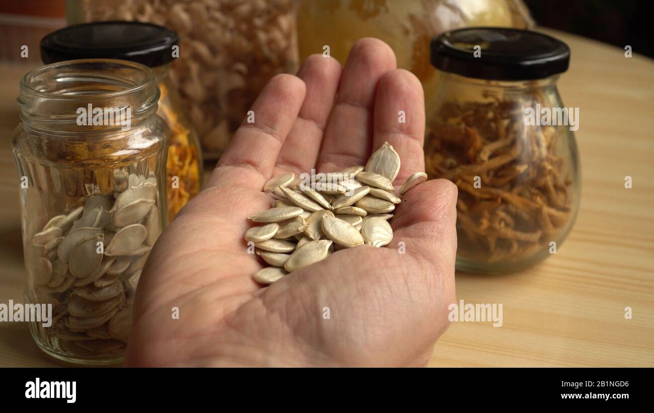 Semi secchi di zucca vegetale nel palmo di un uomo. Sane spezie e ingredienti alimentari fatti in casa. Prodotti alimentari naturali di vegano posti in vetro Foto Stock