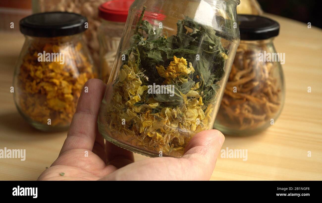 Un uomo mostra le erbe essiccate del tè poste nel vaso di vetro. Sane spezie e ingredienti alimentari fatti in casa. Prodotti alimentari naturali di verdure e vegetali Foto Stock