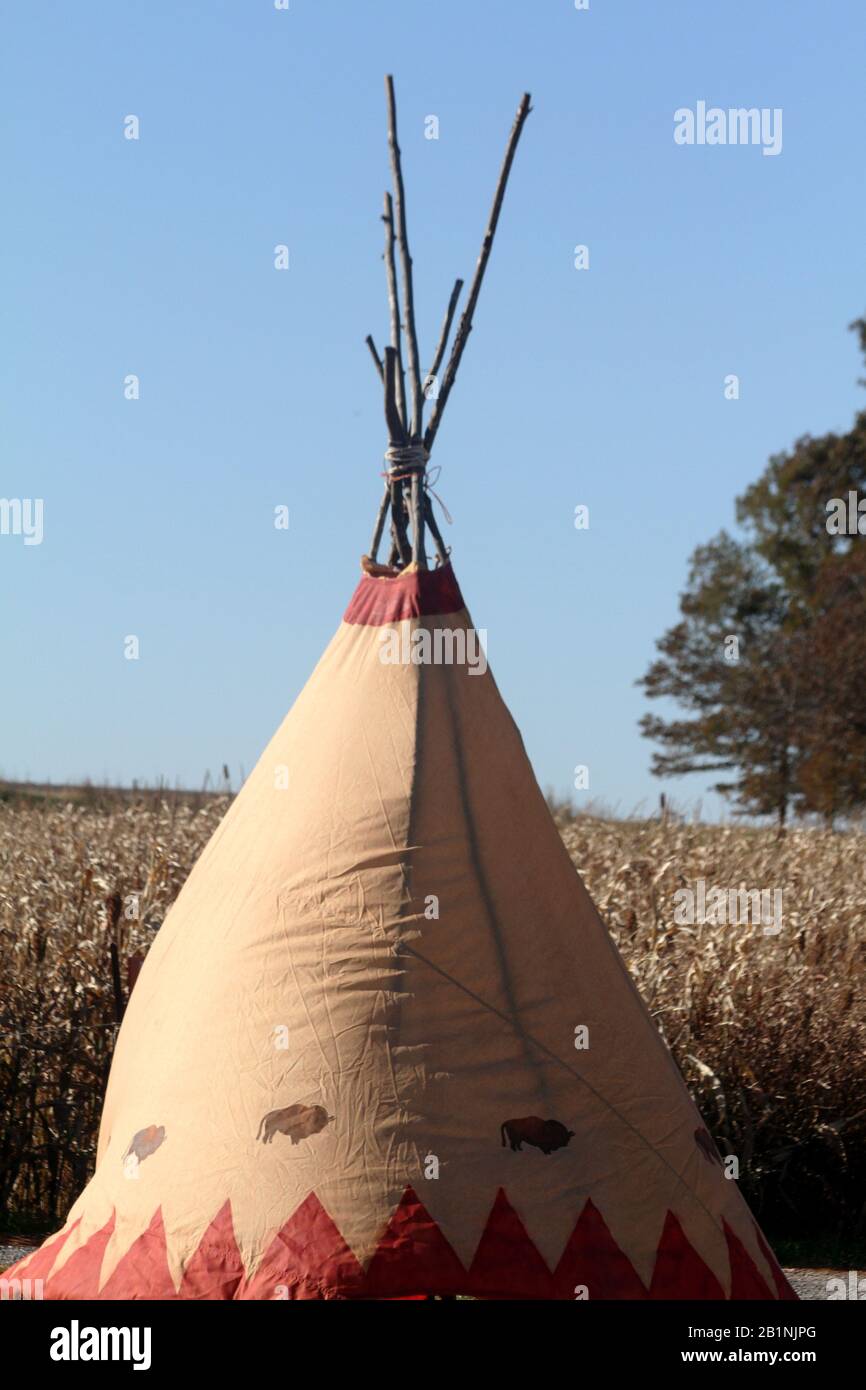 Teepee decorativo vicino a Cornfield in una fattoria in Virginia, Stati Uniti Foto Stock