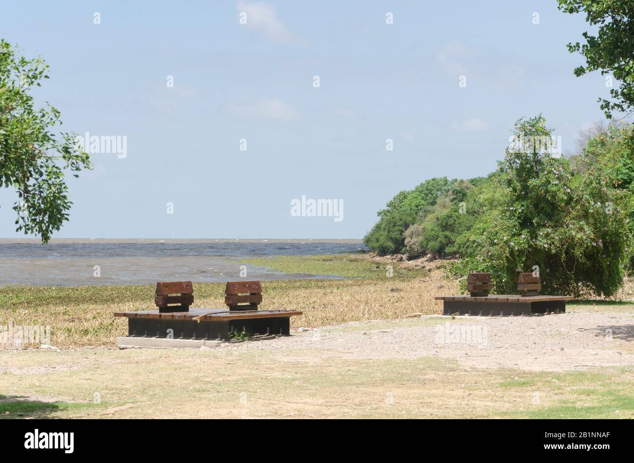 Costanera sur Riserva ecologica, un bel luogo di svago naturale a Buenos Aires, Argentina. La riva del fiume Rio de la Plata è piena di aquat Foto Stock