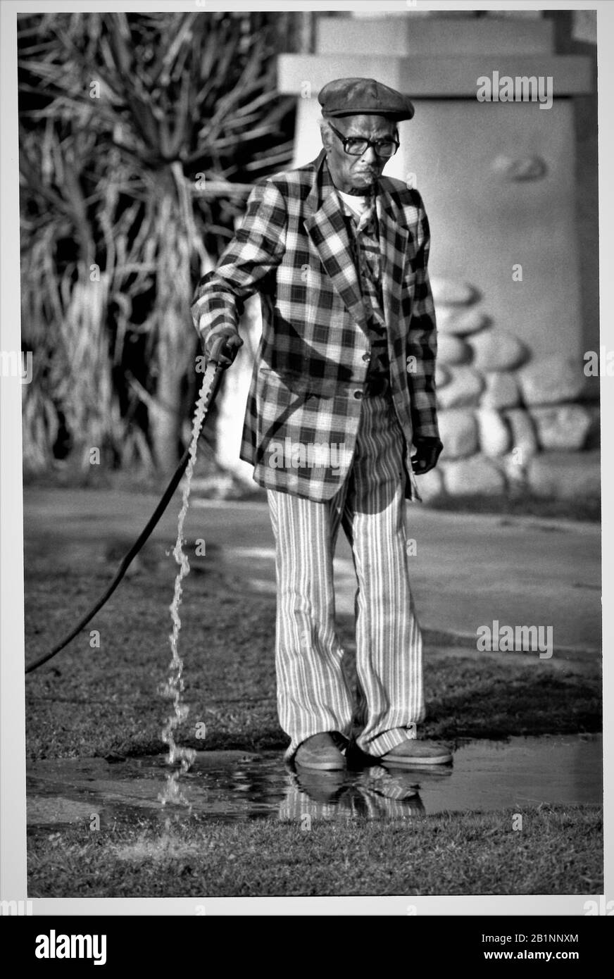 Uomo nero anziano che innaffia il suo prato e strada a Compton Zona di Los Angeles con bicchieri e giacca plaid fumo Foto Stock