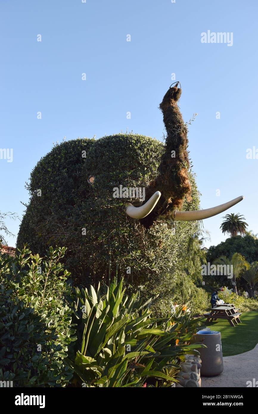 Grande topiario di elefanti vicino all'entrata est dello Zoo di San Diego. Foto Stock
