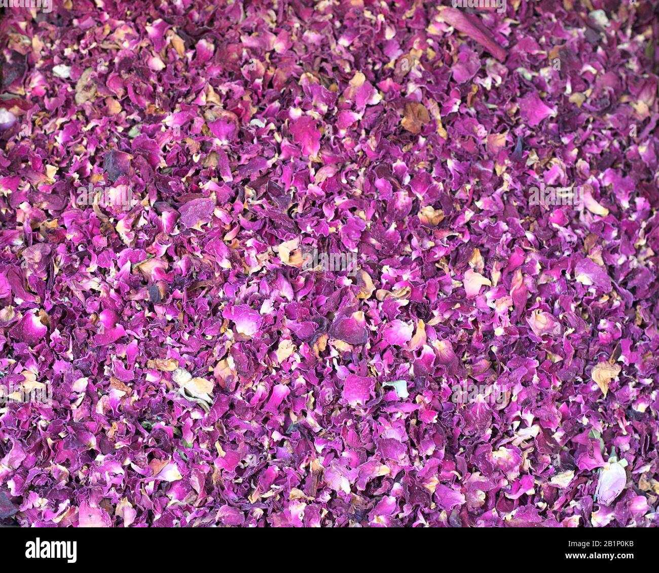 Petali di rosa essiccati in vendita al Carmel Market (Shuk Hacarmel), il più grande mercato di Tel Aviv, Israele Foto Stock