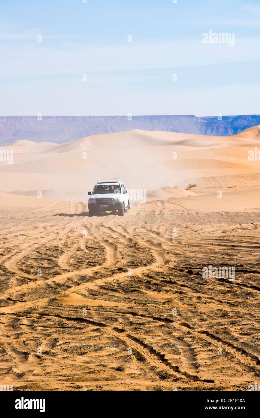 Gita turistica in campeggio nel Sahara rigors, giri in cammello, visite locali, tramonto e alba, pasti e molto altro Foto Stock