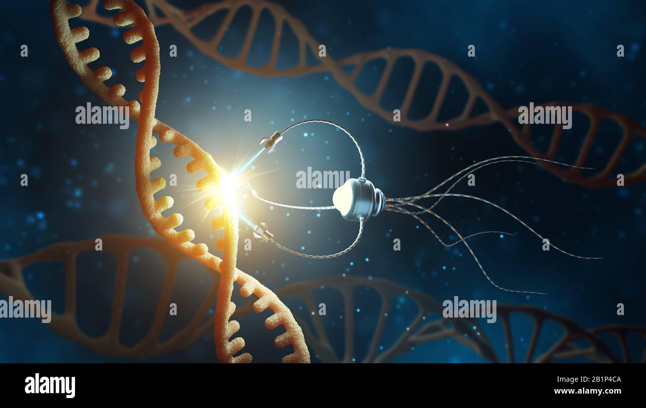 Concetto medico nel campo della nanotecnologia. Ingegneria genetica e uso di nanorobati per sostituire parte della molecola di DNA. Figura 3 D. Foto Stock
